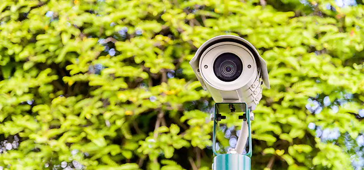 Advanced Surveillance Solutions for Every Need in Pinole